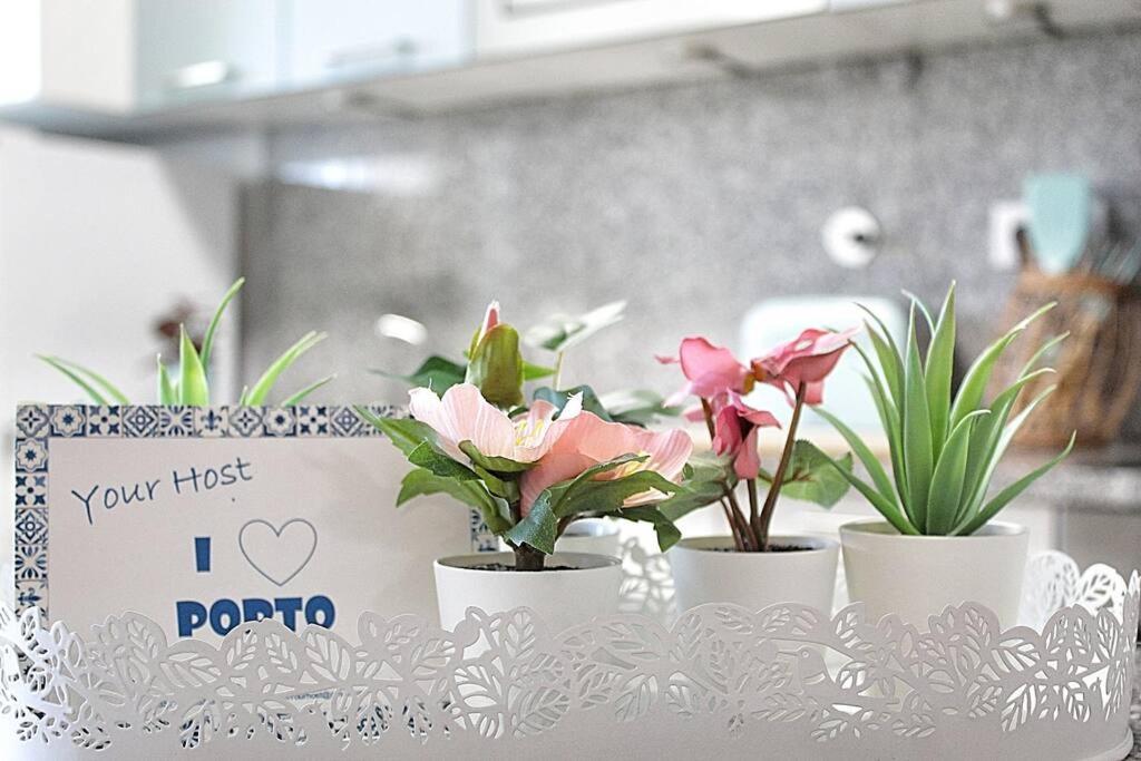 וילה נובה דה גאיה Arrabida Luxury Studio מראה חיצוני תמונה
