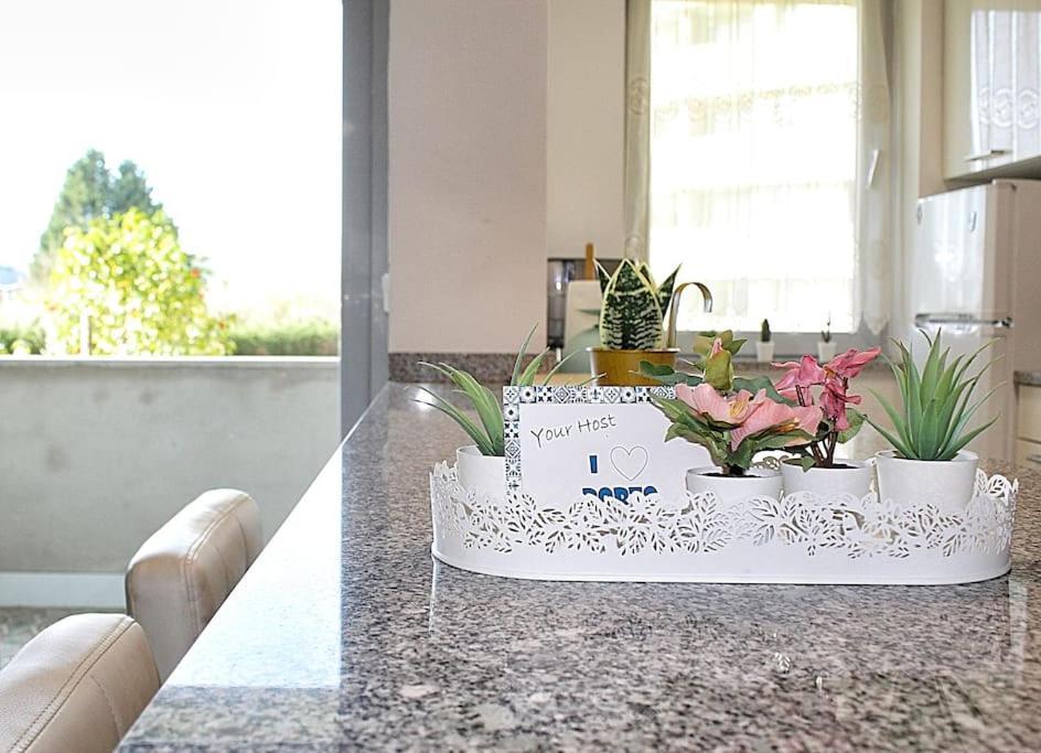 וילה נובה דה גאיה Arrabida Luxury Studio מראה חיצוני תמונה